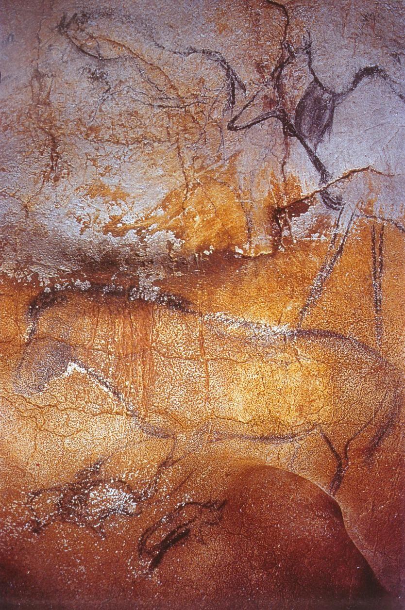Nella cueva si rappresentano diversi animali come cavalli, cervi e rinoceronti.