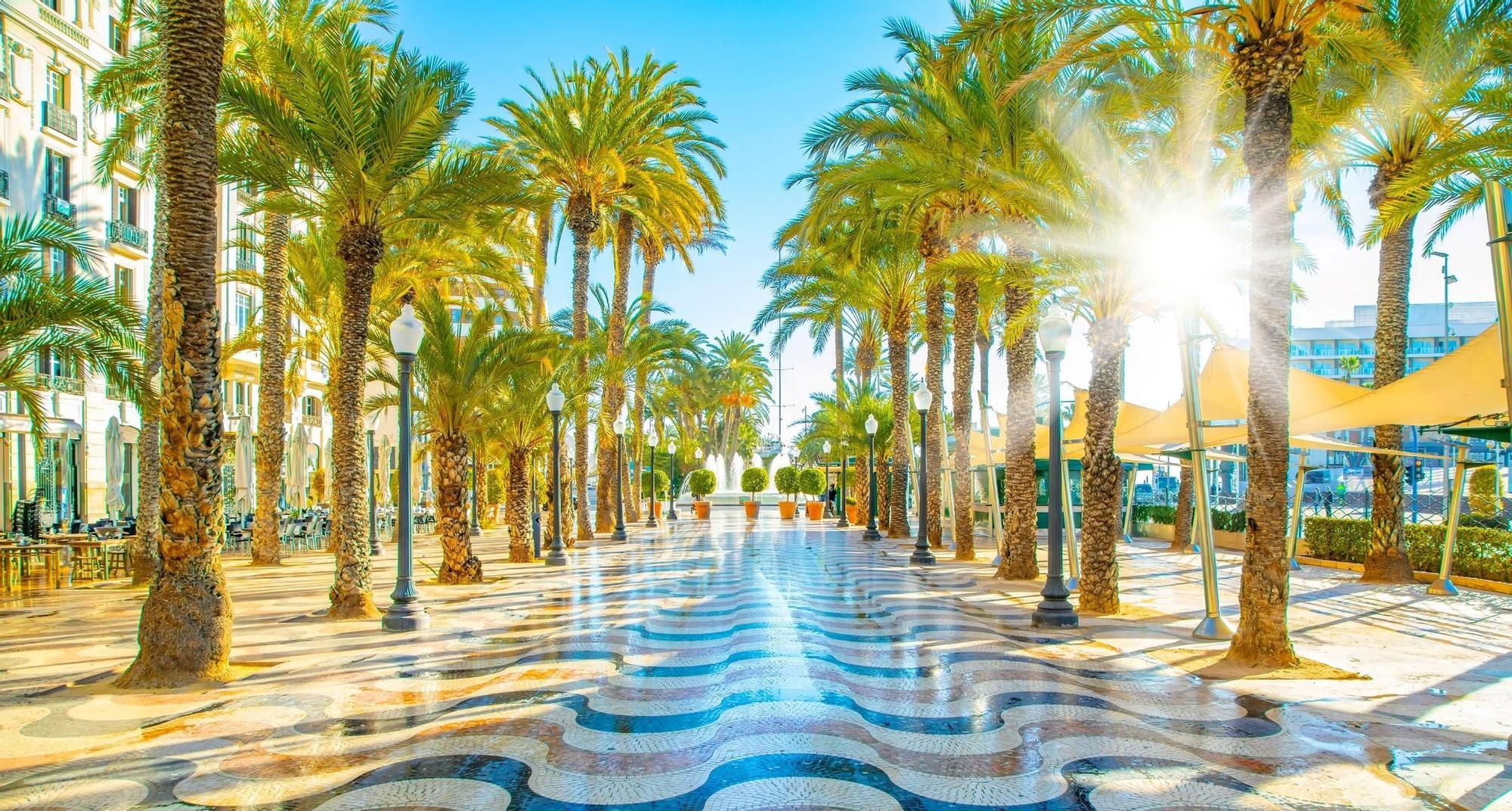 The seaside promenade of the city of Alicante