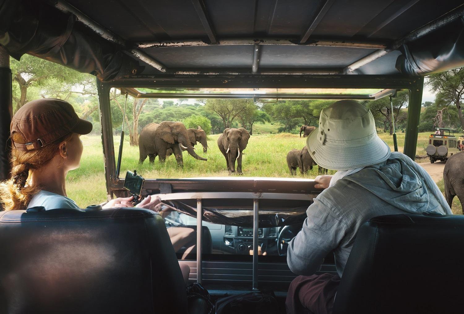 Safari in Africa.