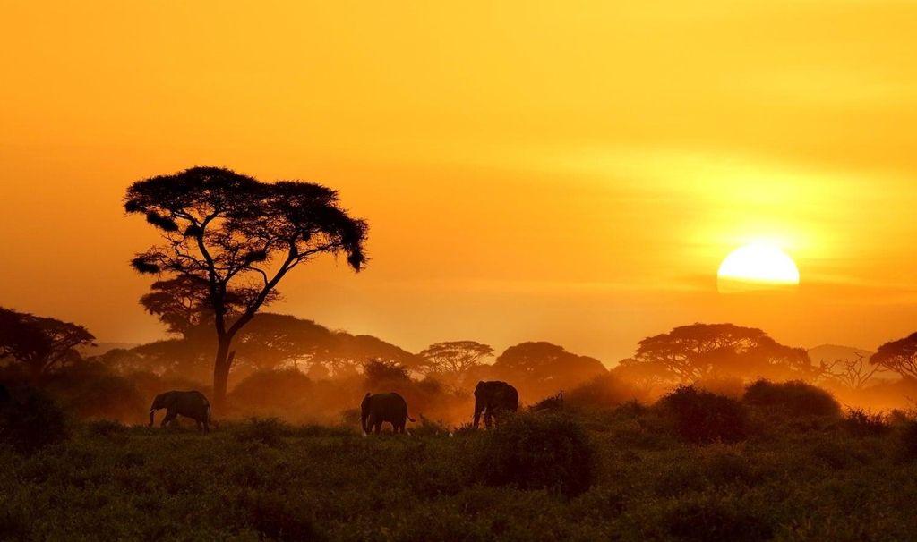 Sunset in Kenya
