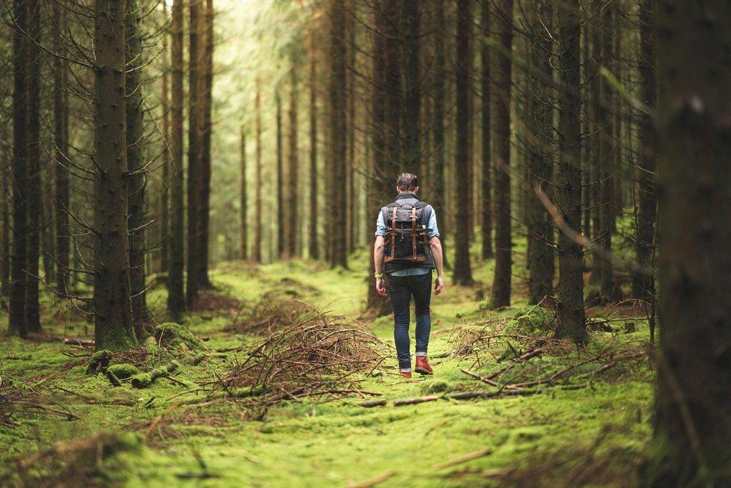 Sweden's Right to Roam