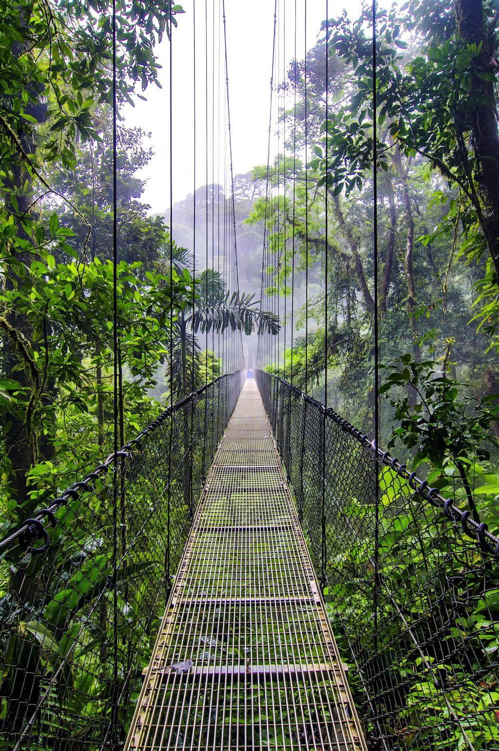Hanging bridge over Arenal Volcano in La Fortuna