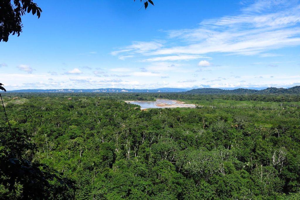 Madidi National Park