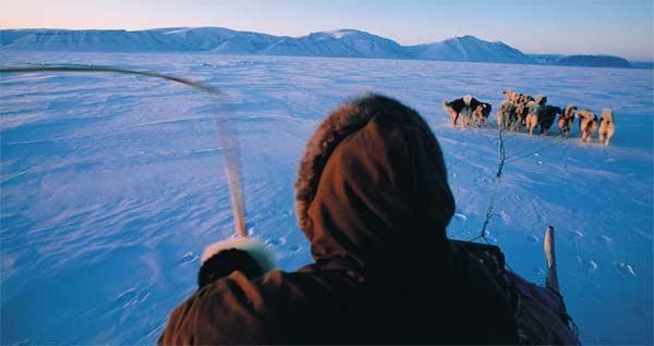 La mitica regione di Thule, a nord della gigantesca isola della Groenlandia, offre al viaggiatore la possibilità di avvicinarsi alla cultura più profonda degli inuit e di esplorare, su slitte trainate da cani, i spettacolari fiordi e iceberg di questa zona inospitale.