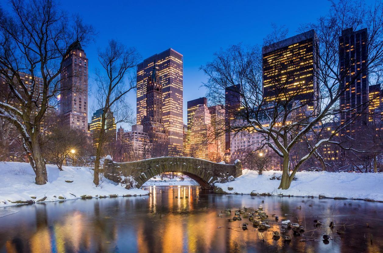 Panorama di Central Park di New York in inverno