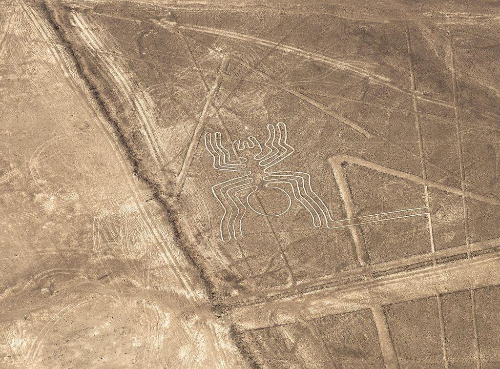 Nazca line in the shape of a spider