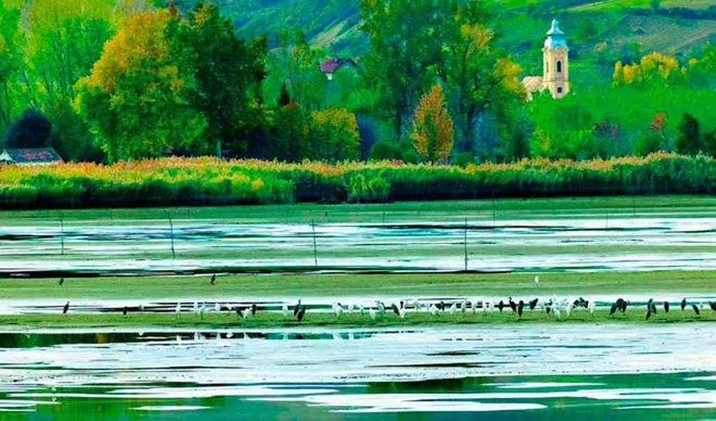 Fruka Gora National Park, nature and culture in Serbia