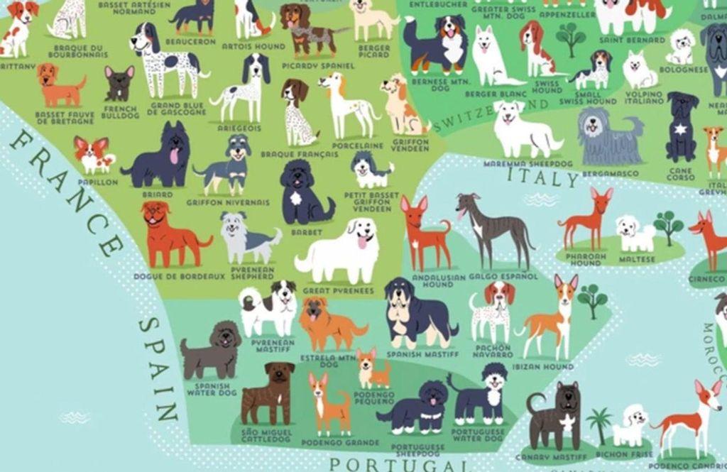 Breeds of Southern Europe