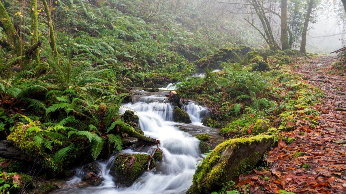 La bellezza unica della comarca di Taramundi