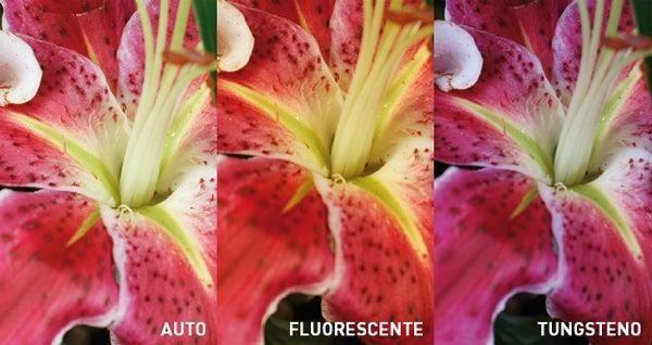 To achieve accurate colors, it is essential to select the correct white balance setting on the camera.