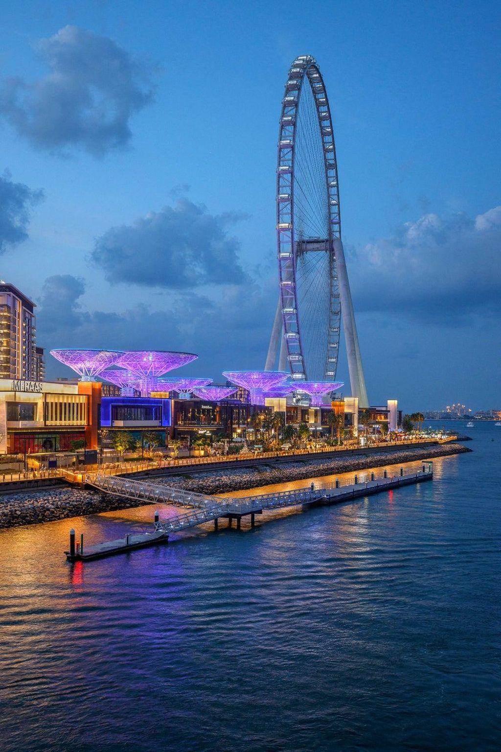 The Ferris wheel at night.