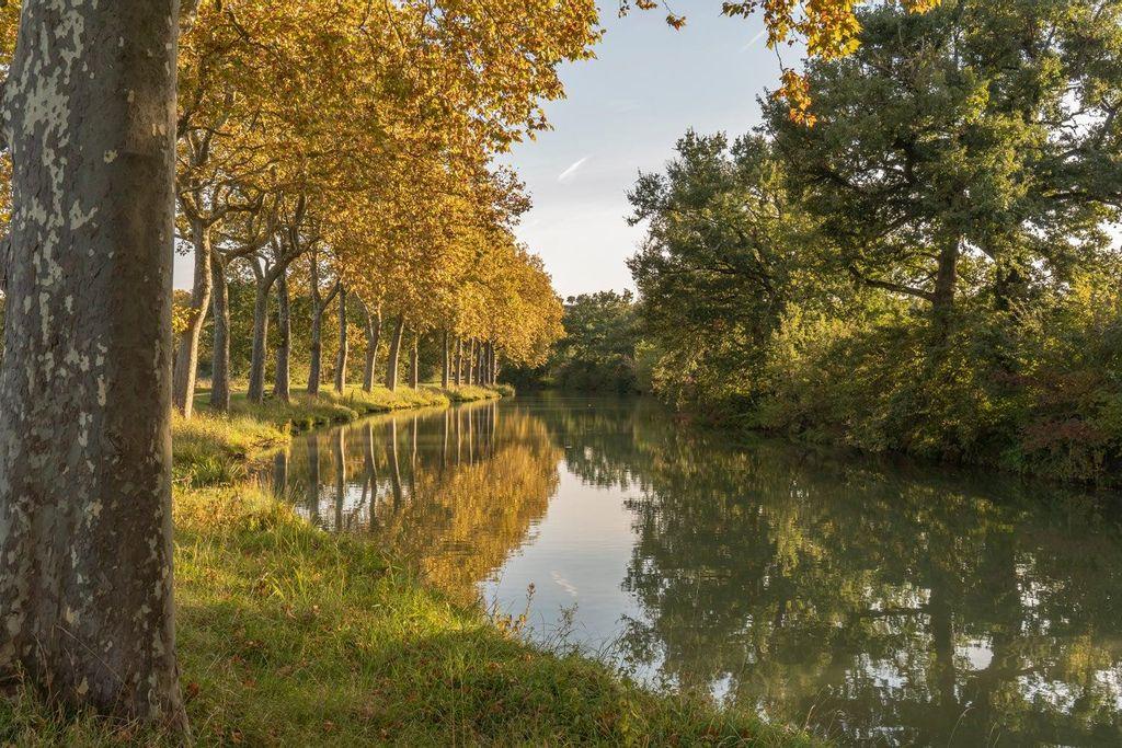 Canale del Midi, Tolosa