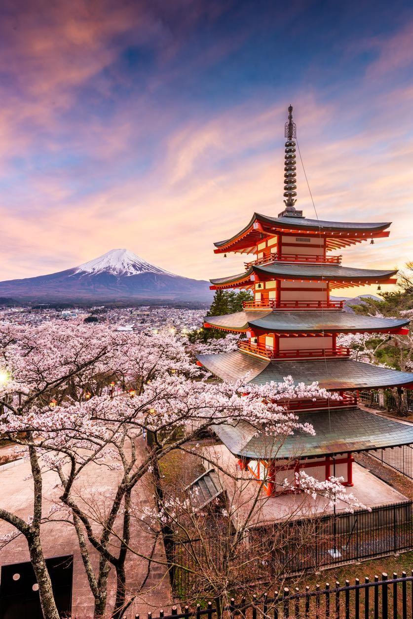Pagoda Chureito e il monte Fuji in primavera.