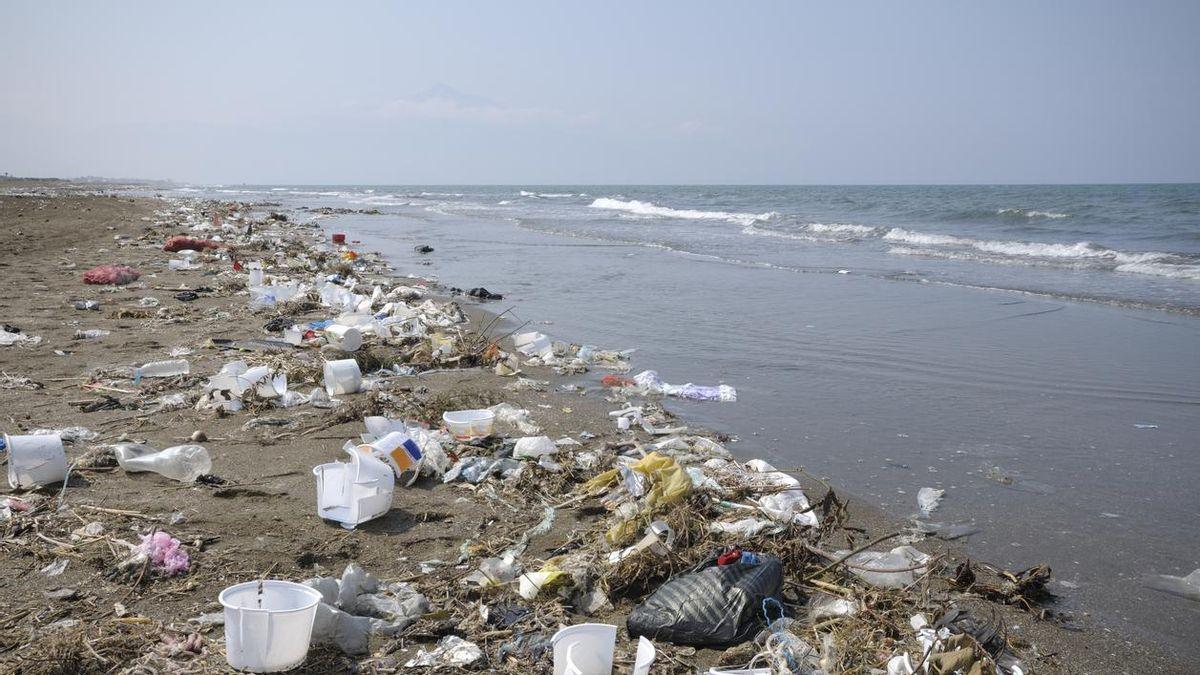The effects of pollution will grow over the years