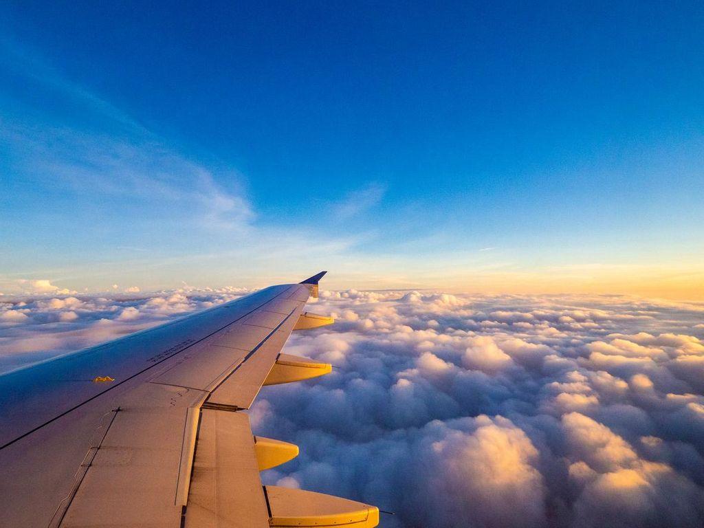 Discover the best flight deals.