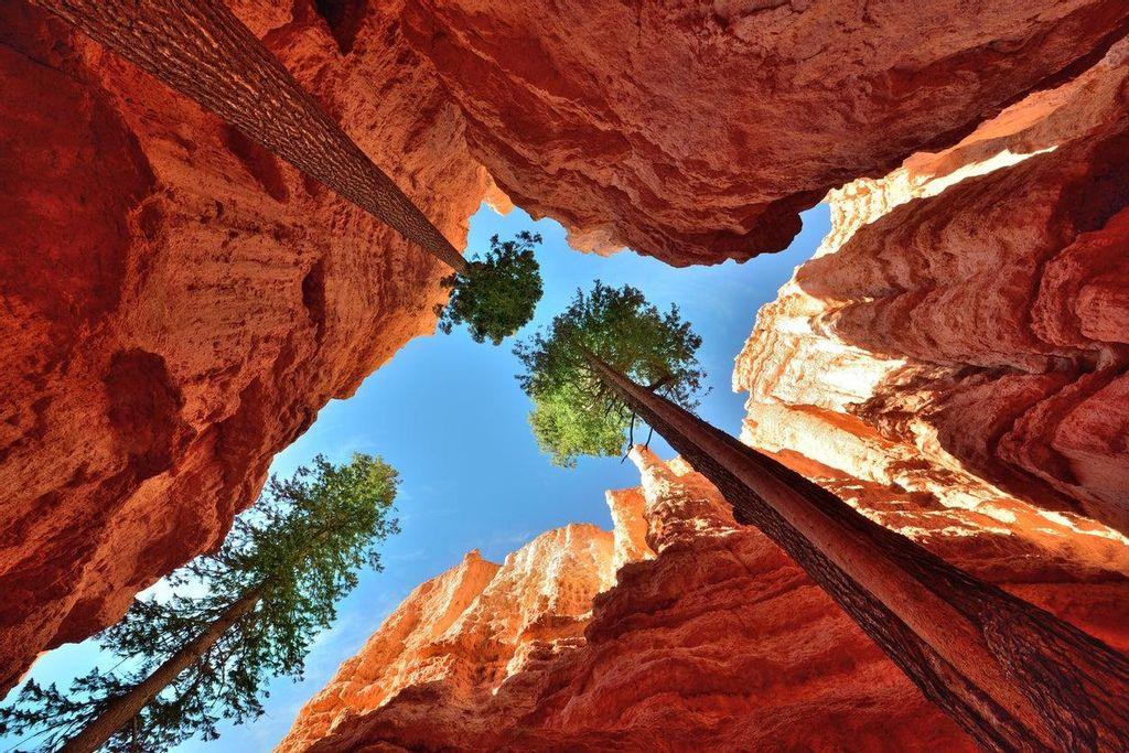 Patterns of Bryce Canyon National Park, Utah.