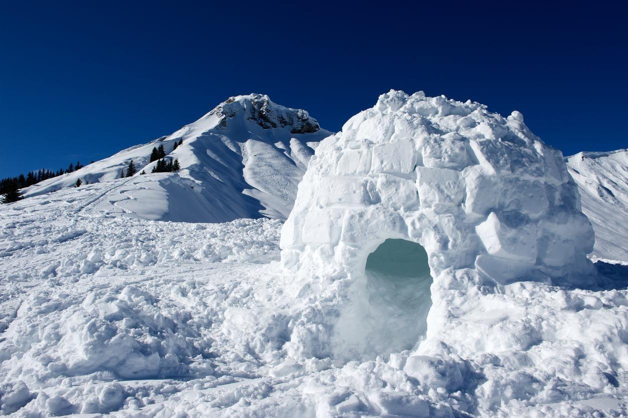 Igloos are commonly the homes of the Inuit