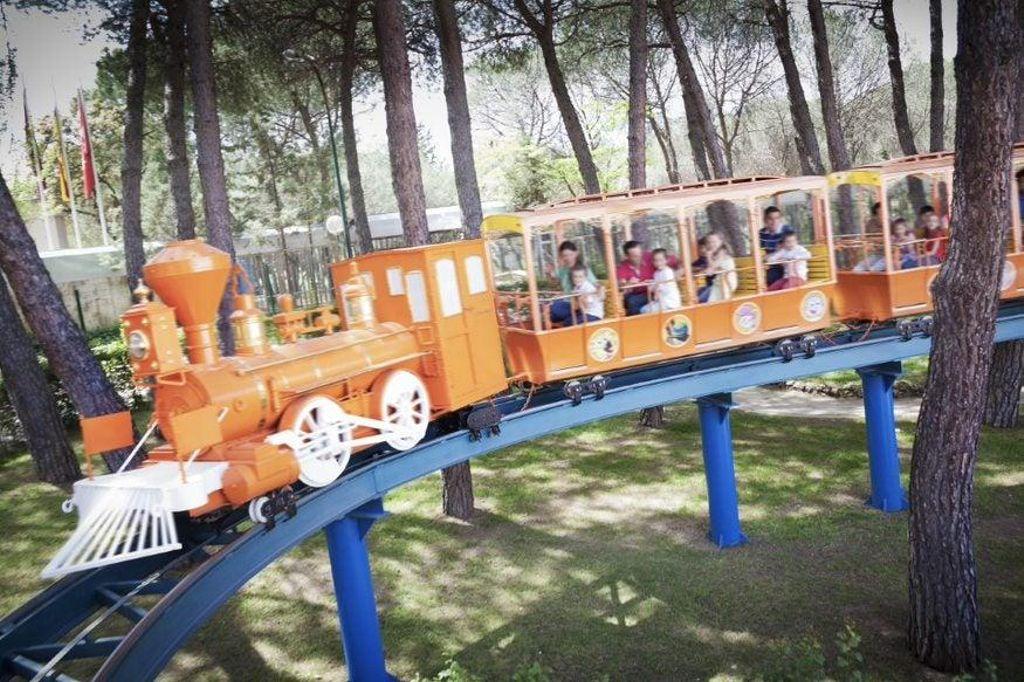 Amusement Park