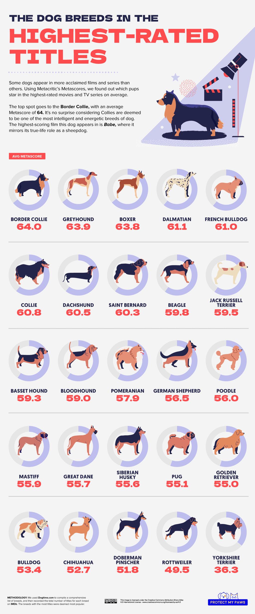Top Critically Acclaimed Dog Breeds